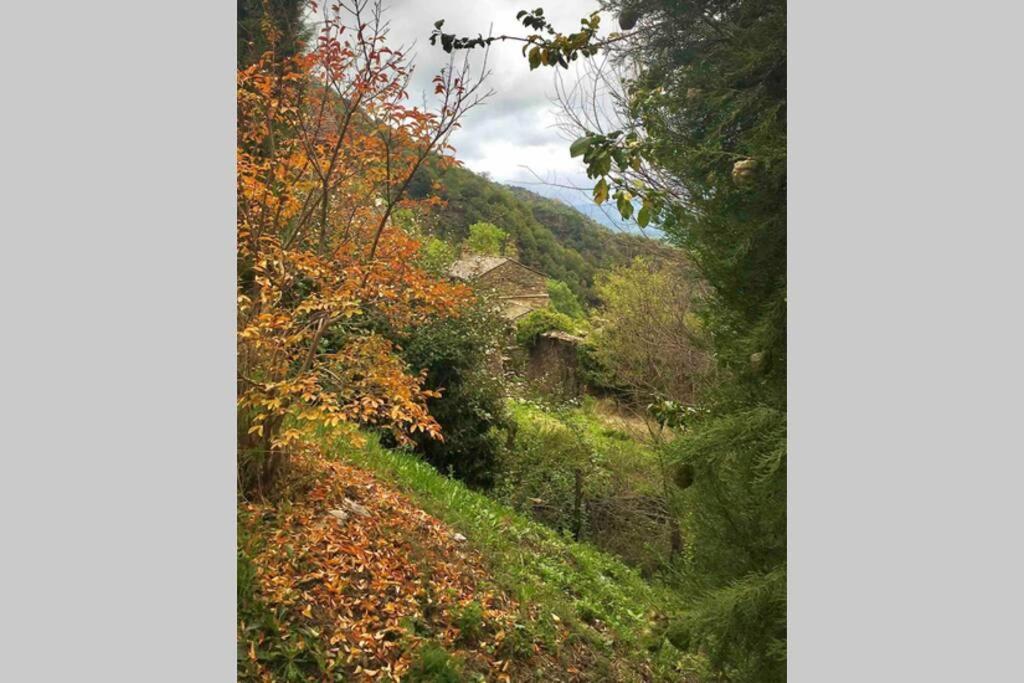 Le Salson La Pellegrine, Parc National Des Cevennesヴィラ エクステリア 写真